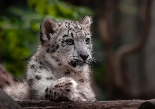 Úřední deska - Zobrazit pouze názvy kategorií
